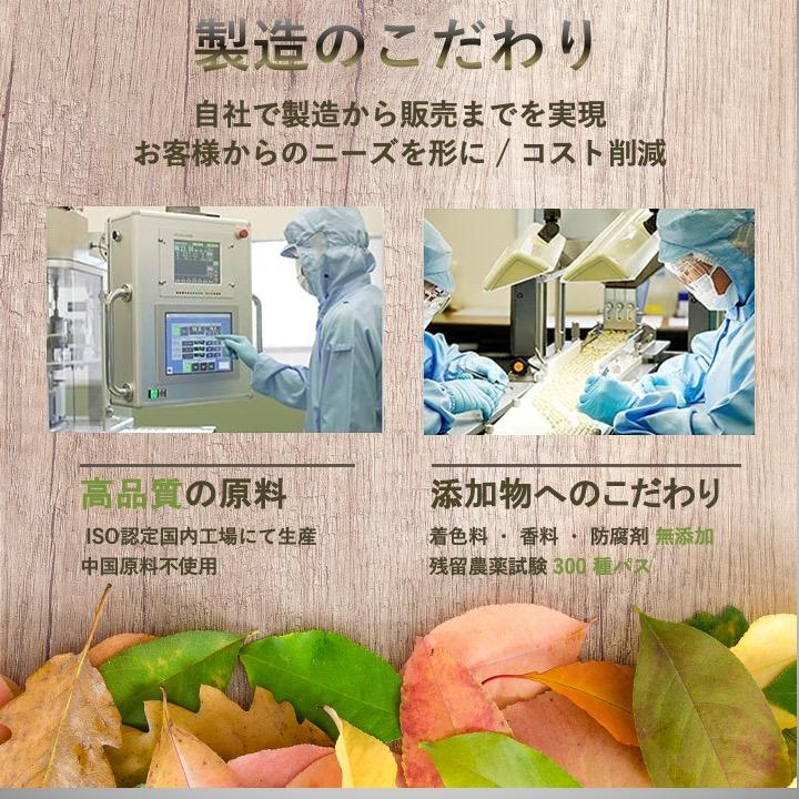 亜鉛 核酸 DNA RNA セット サプリ 各約1カ月分 サプリメント セット 