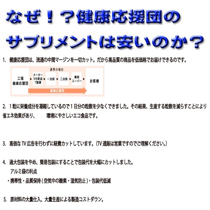 ブルーベリー ヒアルロン酸  ルテインサプリメント 1カ月分 セット  サプリ｜kenkououendan｜08