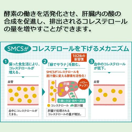 緑でサラナ 160g×60缶 ※全国送料無料【あすつく対応】 ※同梱・キャンセル・ラッピング不可｜kenkousupport｜05