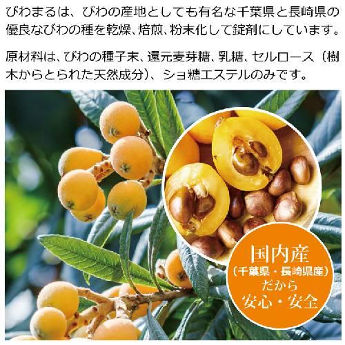 びわまる 徳用（1000粒入り）×2個セット 【ティ-・エス・アイ】※送料