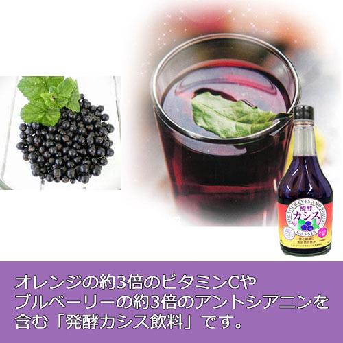 醗酵カシス 565ml×4本セット ※全国送料無料 ※同梱・キャンセル・ラッピング不可 ※お一人様1セットまで｜kenkousupport｜02