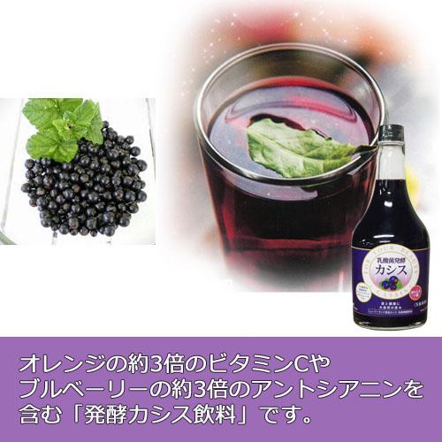 乳酸菌発酵カシス (565ml×4本セット)※送料無料(一部地域を 乳酸菌発酵カシス (565ml×4本セット)※送料無料(一部地域を