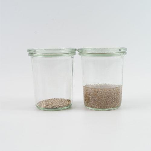 有機ホワイトチアシード／Organic Chia seed （White） （ 300g） 【生活の木】｜kenkousupport｜03