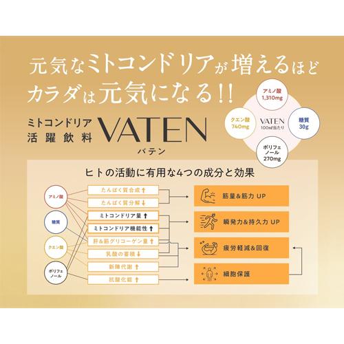 VATEN（バテン） 100ml×10本セット 【福光屋】｜kenkousupport｜04