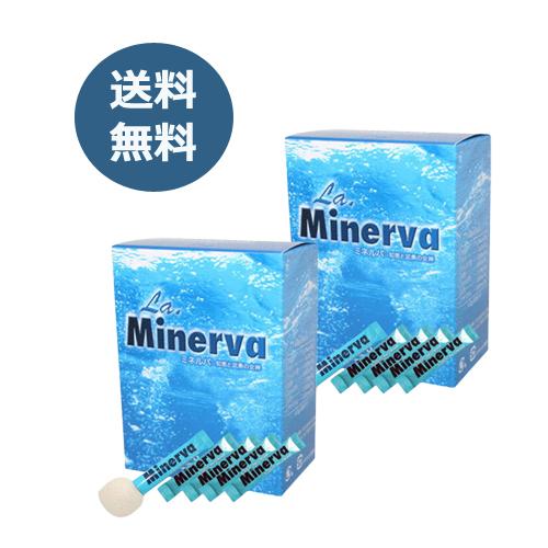 青パパイヤ発酵食品2箱 公式 2箱セット】青パパイヤ酵素 顆粒