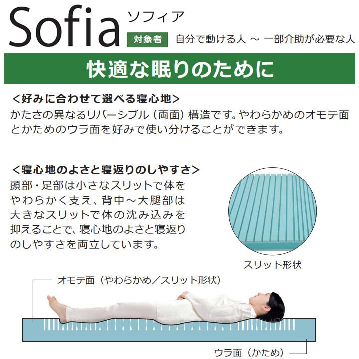 molten（モルテン） 介護ベッド ソフィア 通気 洗浄タイプ 標準