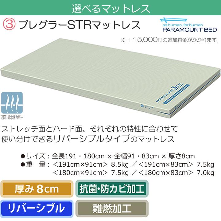 パラマウントベッド 介護ベッド レント ミントグリーン 2モーター 