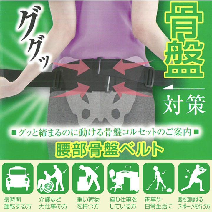 MIZUNO（ミズノ） サポーター 腰部骨盤ベルト ノーマルタイプ 介護衣料