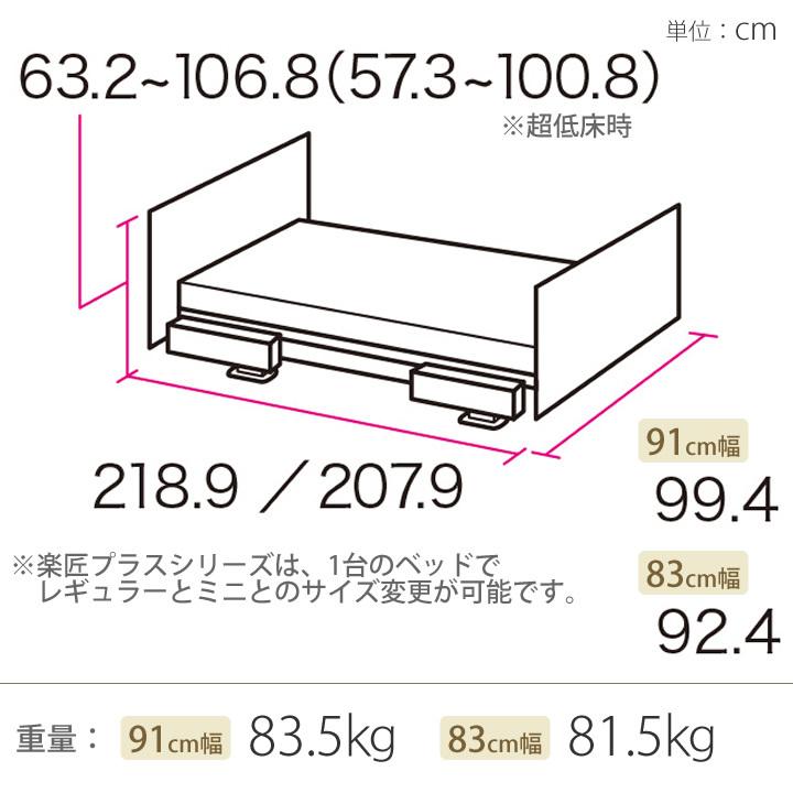パラマウントベッド 楽匠プラス 2モーション Xタイプ 超低床対応