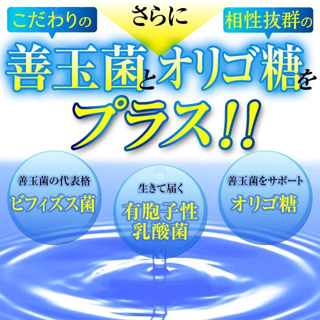 専用   乳酸菌革命 5袋セット 楽臭生活 2袋 公式 『爽臭革命』2袋以上送料無料 : 健康の杜 Yahoo!店 - 通販