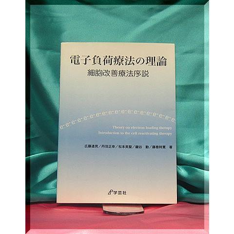 「電子負荷療法の理論」 | 