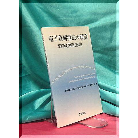 「電子負荷療法の理論」 |  | 01