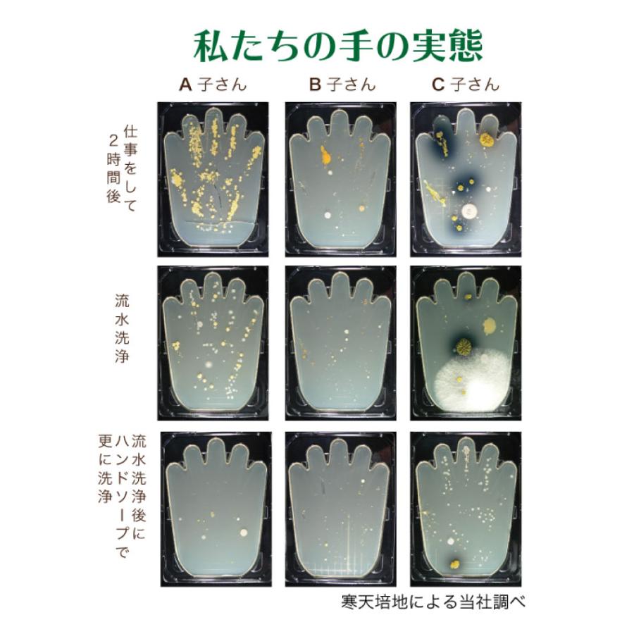 メディトレック meruru ソフトコンタクト つけはずし器具  メルル ピンク ソフト用 メール便 送料無料 爆買 | meruru | 05
