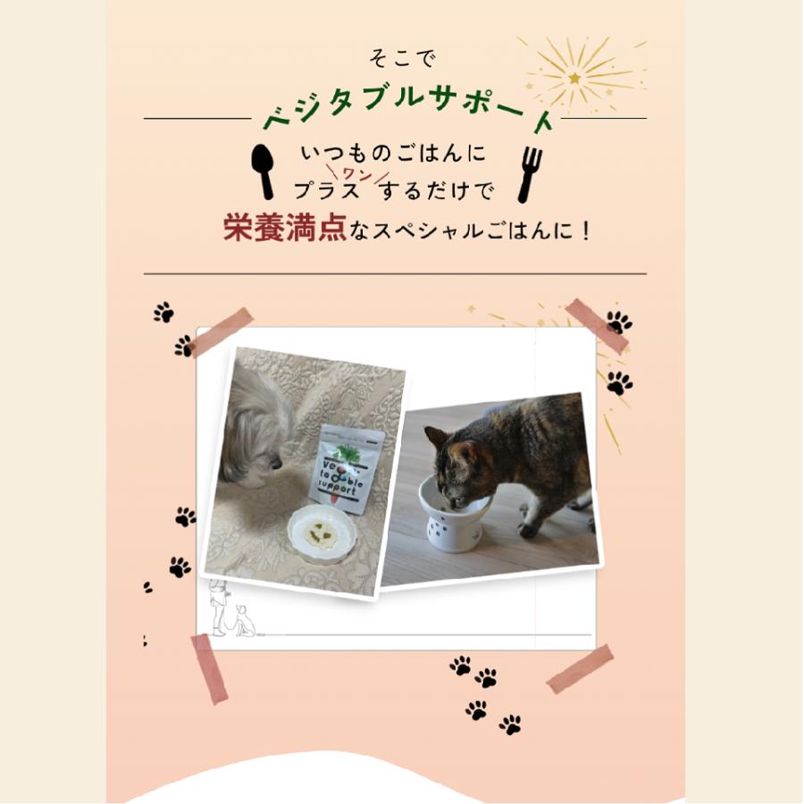 ベジタブルサポート タブレットタイプ 28g ミニパック 犬 猫 ペット