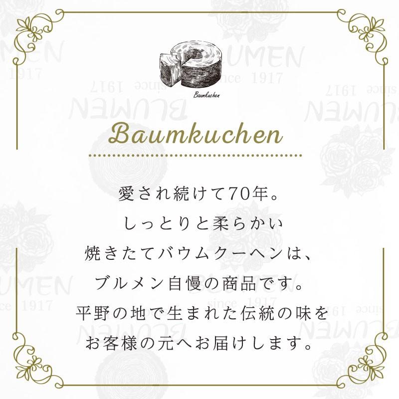 プレーンバウム10個セット　バウムクーヘン　美味しい　ギフト　個包装 |  | 03