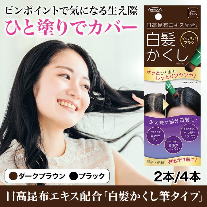 快適生活 日高昆布エキス配合「白髪かくし筆タイプ」 4本 爆買 : 快適