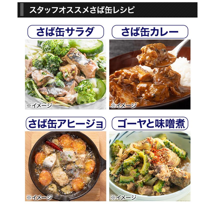 缶詰 HOKOの国産サバ缶 (水煮/味噌煮/醤油煮) 150g×12缶 非常用 さば