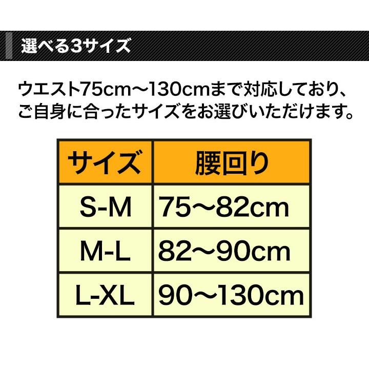 快適生活 ぐっと支える「Wベルト腰用サポーター」1枚 姿勢矯正 猫背 腰