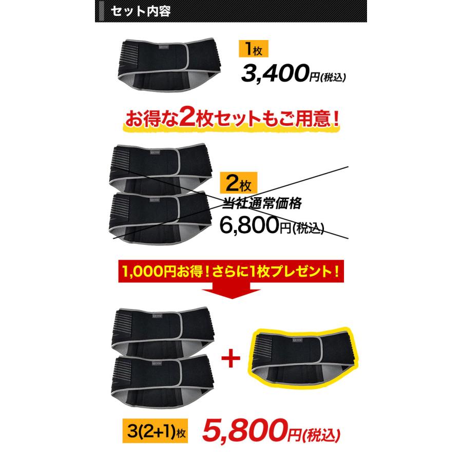 快適生活 ぐっと支える「Wベルト腰用サポーター」1枚 姿勢矯正 猫背 腰