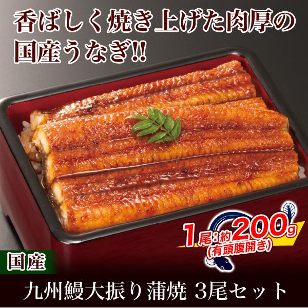 快適生活オンライン店 九州鰻大振り蒲焼 通販 夏バテ解消 ウナギ 鰻 蒲焼 ひつまぶし ３尾 ３尾食品 ひつまぶし