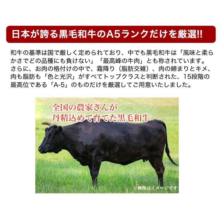 食品 牛肉 焼肉  快適生活 黒毛和牛「A5ランク限定　漬込焼肉」500g｜kensei-online｜02