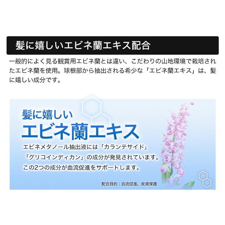 育毛剤  薬用育毛剤 発毛促進  医薬部外品 快適生活 「薬用育毛剤 毛髪魂マイレーベン」３本セット 男性用 日本製 医薬部外品 女性用 育毛トニック 無香料｜kensei-online｜04