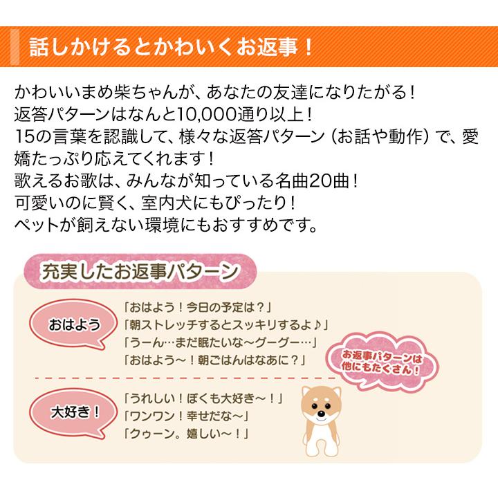 しゃべる犬 快適生活 おはなし大好き！歌って踊れる「ロボットまめ柴