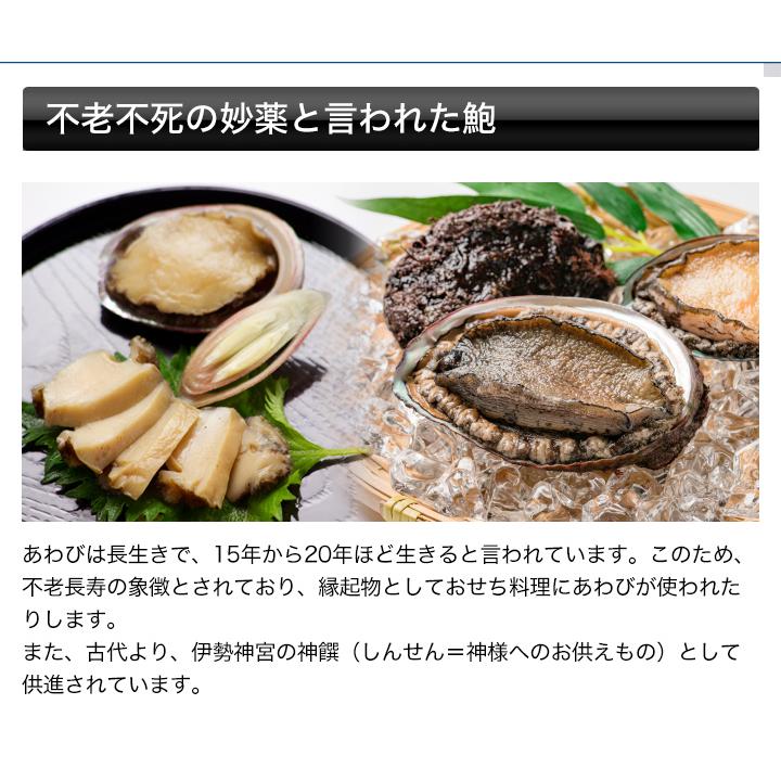 アワビ貝殻　特大 天然 アワビ 貝殻 特大 17cm 14cm - メルカリ