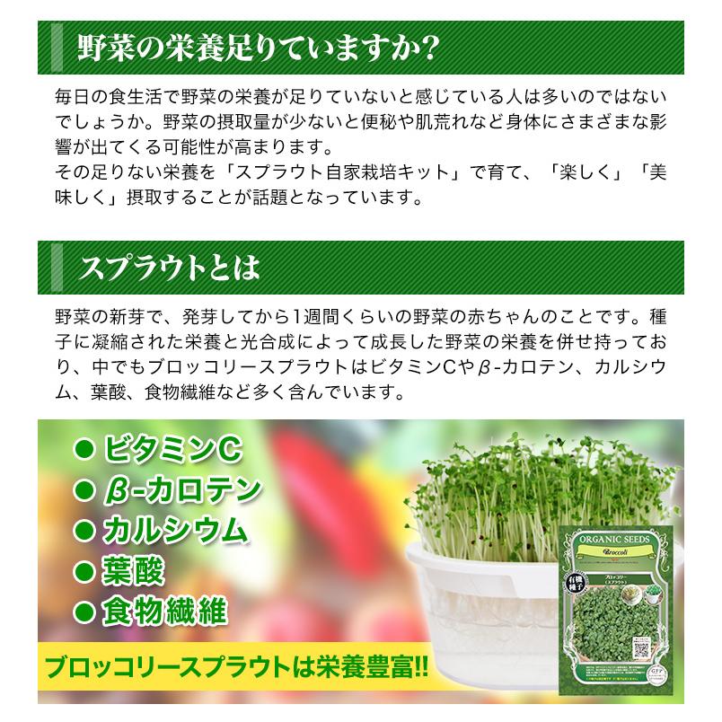 おうちで簡単 ブロッコリースプラウト栽培キット 豆苗スプラウト 快適生活オンラインpaypayモール店 通販 Paypayモール