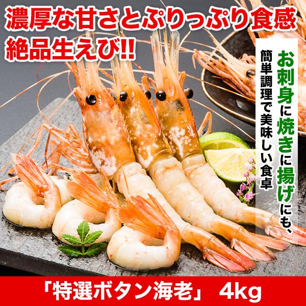 新着商品 刺身用 特選ボタン海老 4kg 楽天1位 Www Cepici Ci