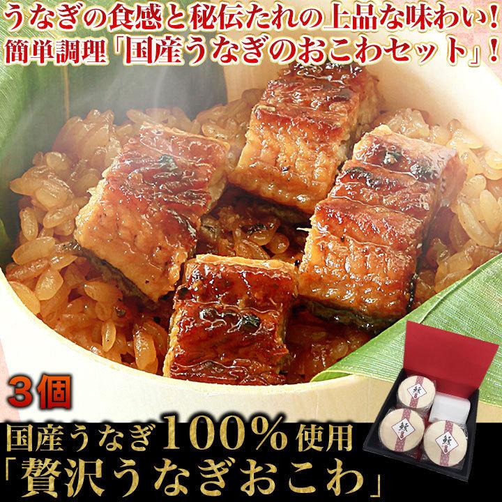 快適生活 国産うなぎ100 使用 贅沢うなぎおこわ 3個 快適生活オンラインpaypayモール店 通販 Paypayモール