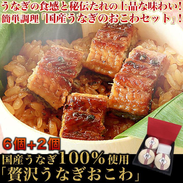 本格派ま 快適生活 国産うなぎ100 使用 贅沢うなぎおこわ 6 2個 Supplystudies Com