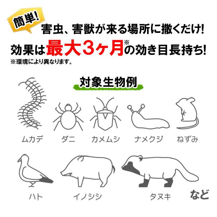 カメムシによる被害
