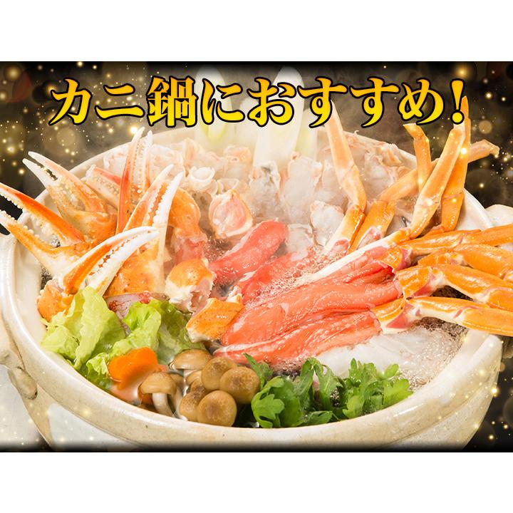 かに カニ 蟹 快適生活 ずわいがに カニ味噌 かにみそ 茹で 特大ボイルズワイ姿まるごと 総重量:約3.6kg(4〜5尾 正味3kg) カニ鍋 かにしゃぶ 