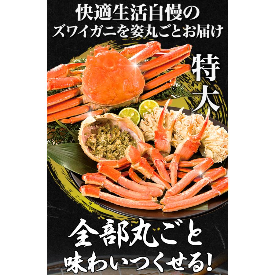 3.6kg 5尾 かに カニ 蟹 ズワイガニ ズワイガニ姿 カニ姿 ズワイガニ