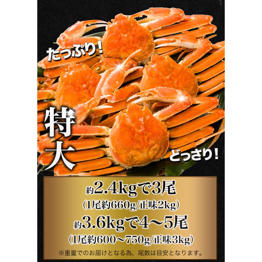 かに カニ 蟹 快適生活 ずわいがに カニ味噌 かにみそ 茹で 特大ボイルズワイ姿まるごと 総重量:約3.6kg(4〜5尾 正味3kg) カニ鍋 かにしゃぶ 