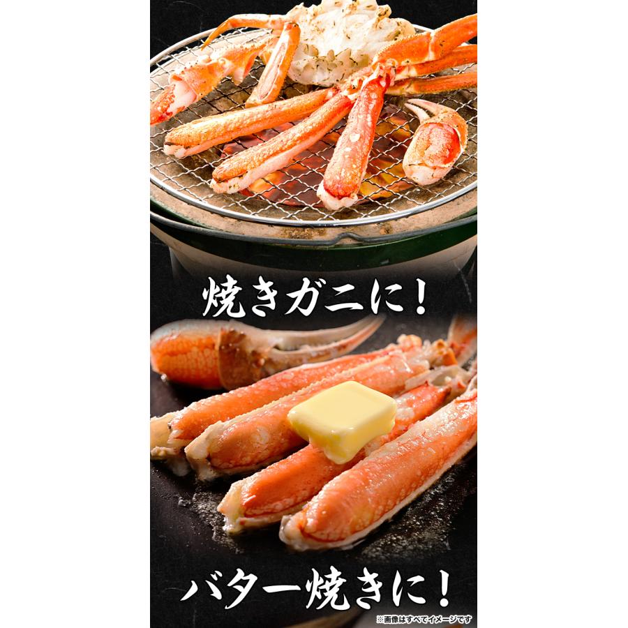 3.6kg 5尾 かに カニ 蟹 ズワイガニ ズワイガニ姿 カニ姿 ズワイガニ