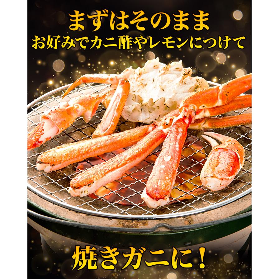 かに カニ 蟹 快適生活 ボイルトゲズワイガニ肩付脚 総重量:2.4kg(正味2kg) 肩付き脚 茹で とげずわいがに｜kensei-online｜03