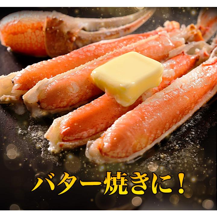 4.8kg 肩付き脚 茹で とげずわいがに かに カニ 蟹 ボイルトゲ