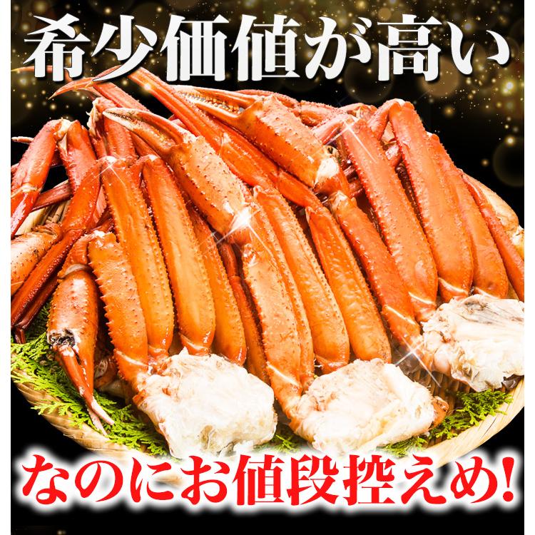 かに カニ 蟹 快適生活 ボイルトゲズワイガニ肩付脚 総重量:約4.8kg(正味4kg) 肩付き脚 茹で とげずわいがに｜kensei-online｜07