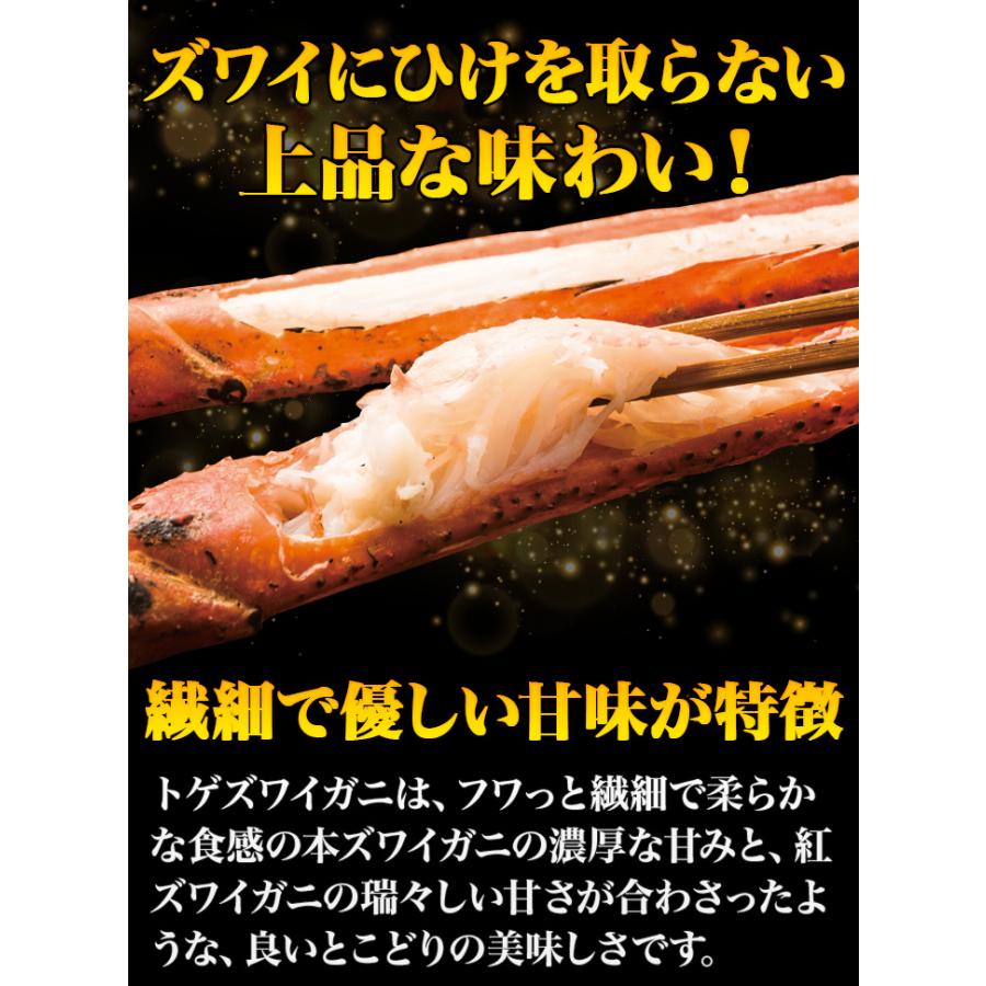 4.8kg 肩付き脚 茹で とげずわいがに かに カニ 蟹 ボイルトゲ