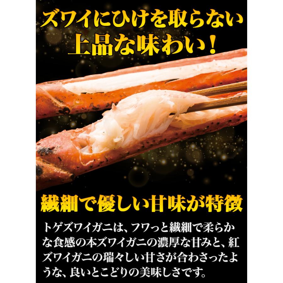 4.8kg かに カニ 蟹 肩付き脚 茹で トゲズワイガニ とげずわいがに