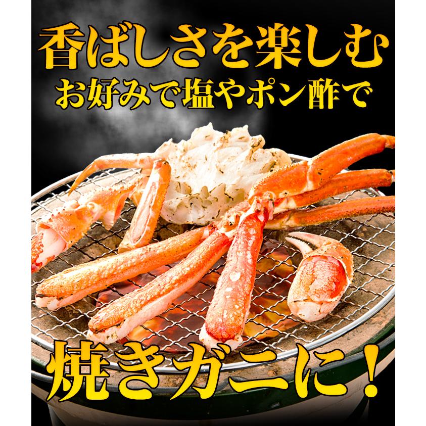 3.6kg かに カニ 蟹 ズワイガニ ずわいがに ボイルズワイ ズワイガニ脚