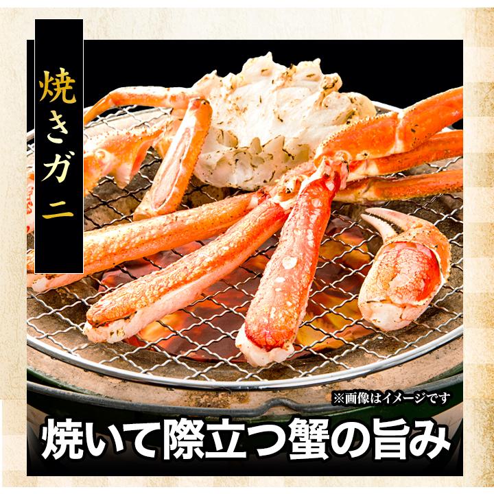 4.8kg かに カニ 蟹 肩付き脚 茹で トゲズワイガニ とげ
