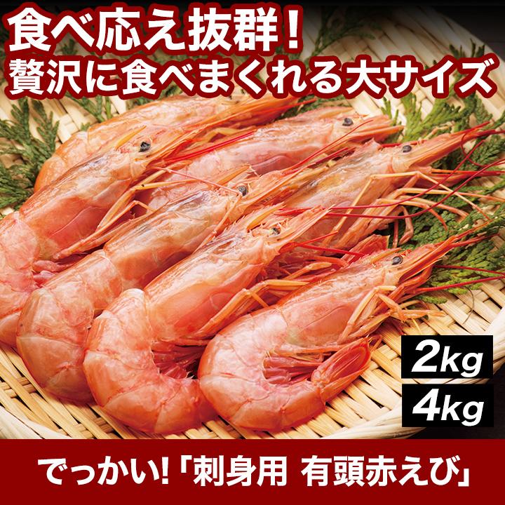 赤エビ 赤海老 エビフライ 快適生活 でっかい！「刺身用 有頭赤えび」4kg 揚げ物 味噌汁 ボイル 茹で サラダ ボイル バーベキュー｜kensei-online｜02