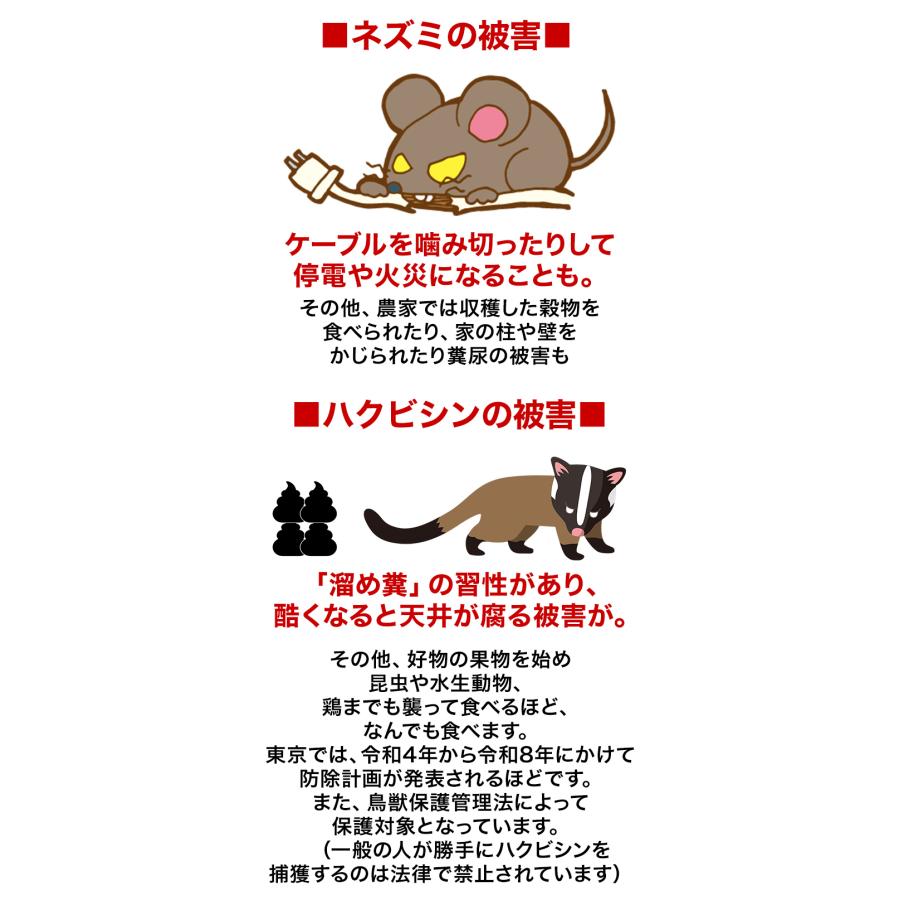 ネズミ対策　ネズミ　忌避剤　快適生活　ネズミに効く！「置くだけ撃退パック」20個｜kensei-online｜03