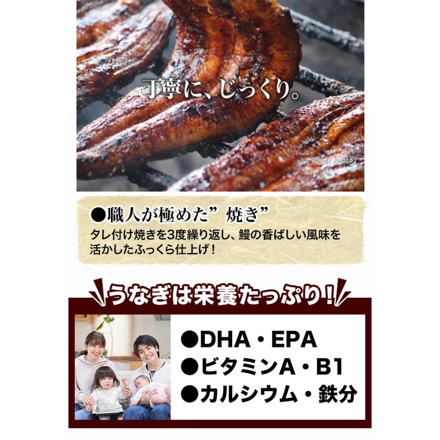 うなぎ 鰻 ウナギ 土用の丑の日 蒲焼き 快適生活 熟練職人