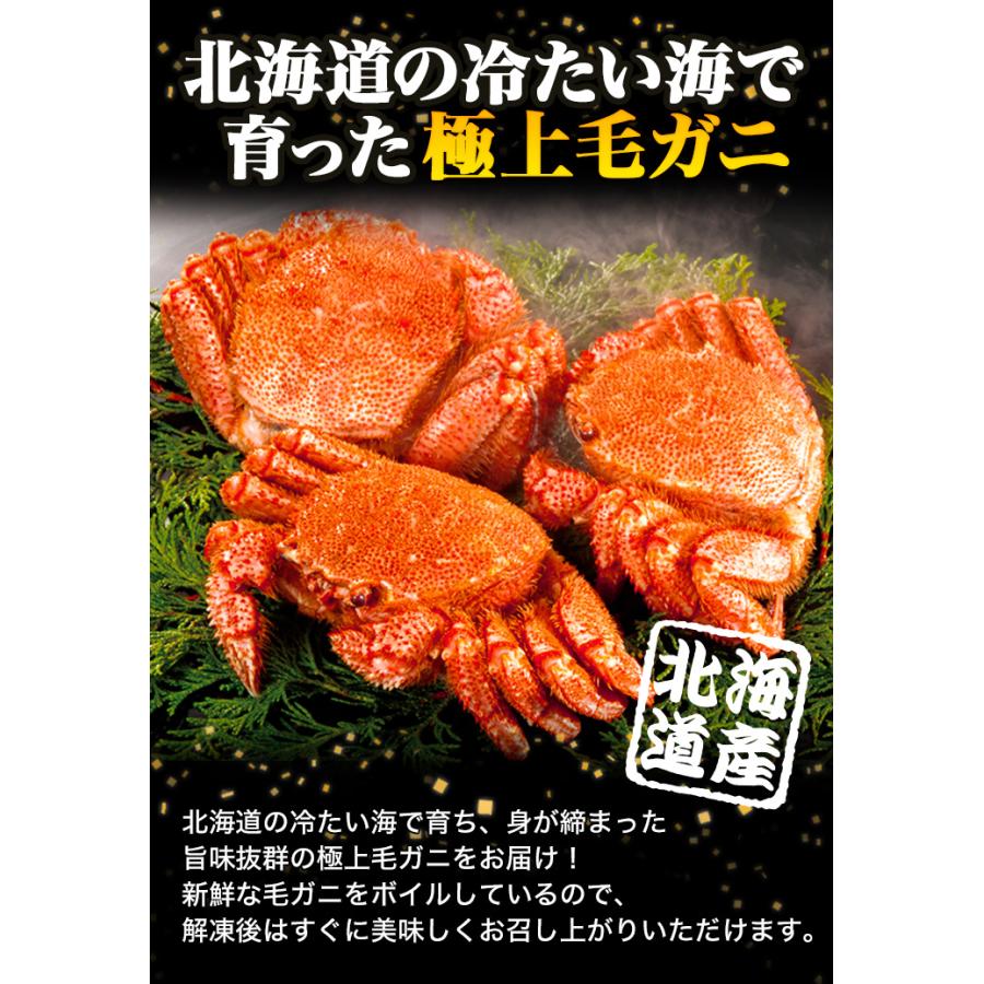 約2.2kg 2尾 かに カニ 蟹 毛蟹 カニミソ カニ味噌 姿 鮮度抜群 ボイル