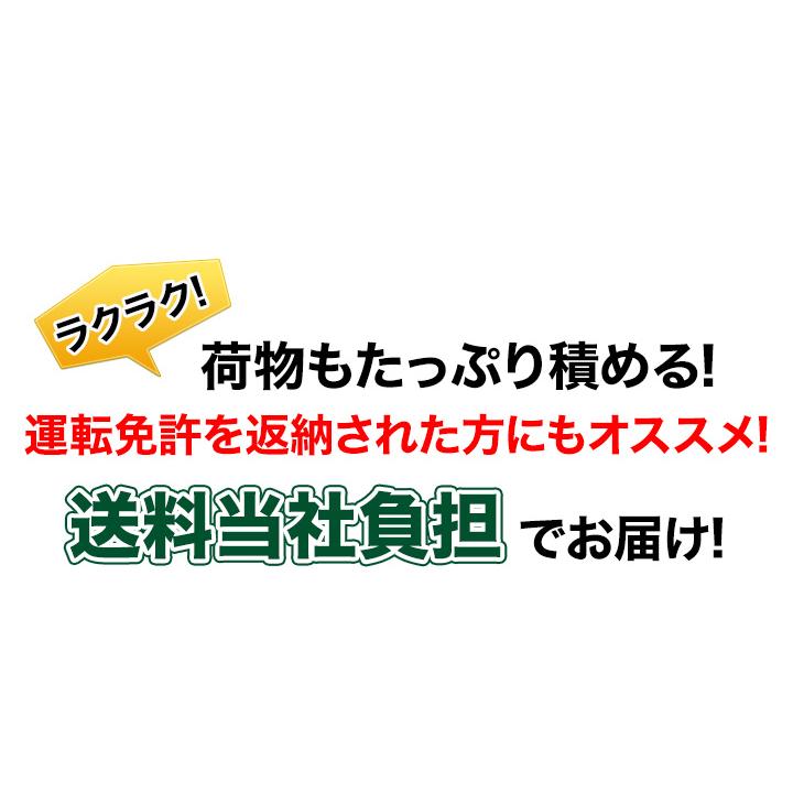 三輪自転車 アシスト機能 快適生活 「ノーパンク電動アシスト三輪