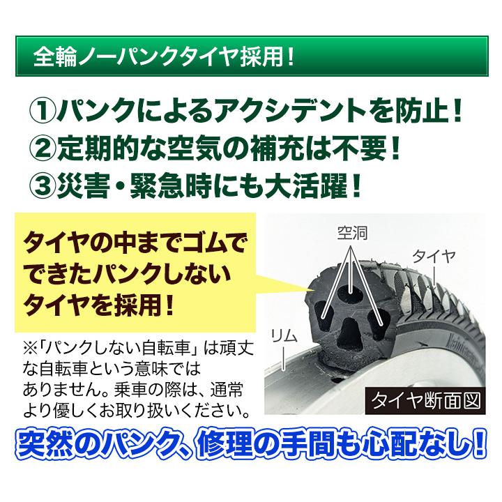 三輪自転車 アシスト機能 TSマーク 快適生活 ノーパンク電動